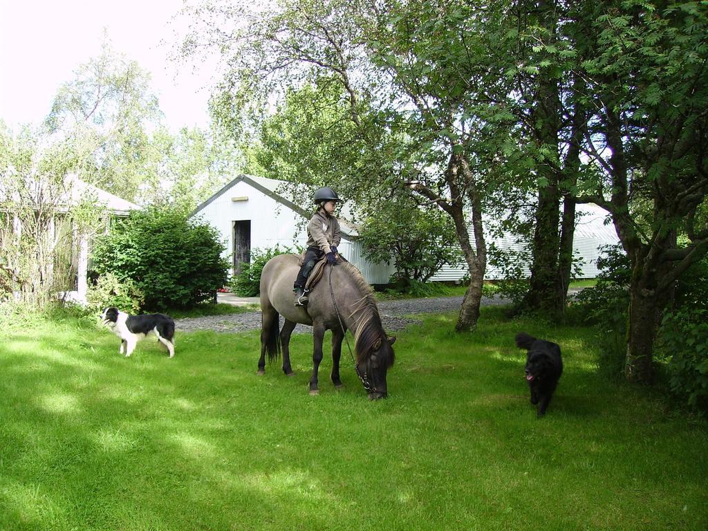 Arbakki Farmhouse Lodge ريكهولت المظهر الخارجي الصورة