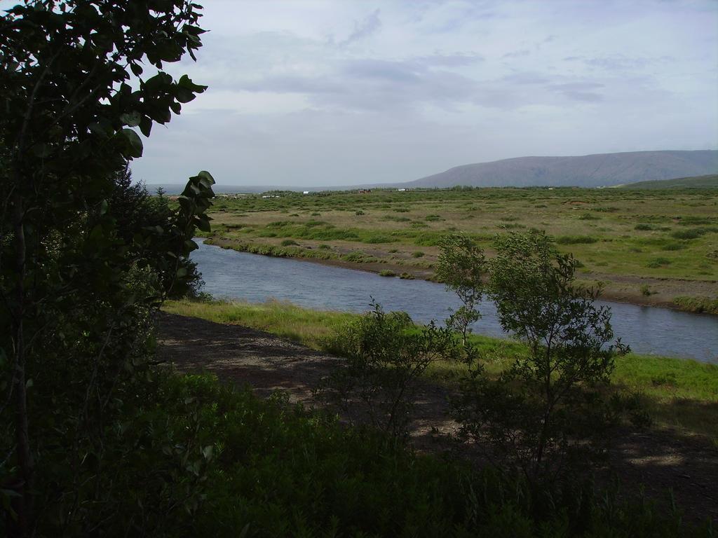 Arbakki Farmhouse Lodge ريكهولت الغرفة الصورة