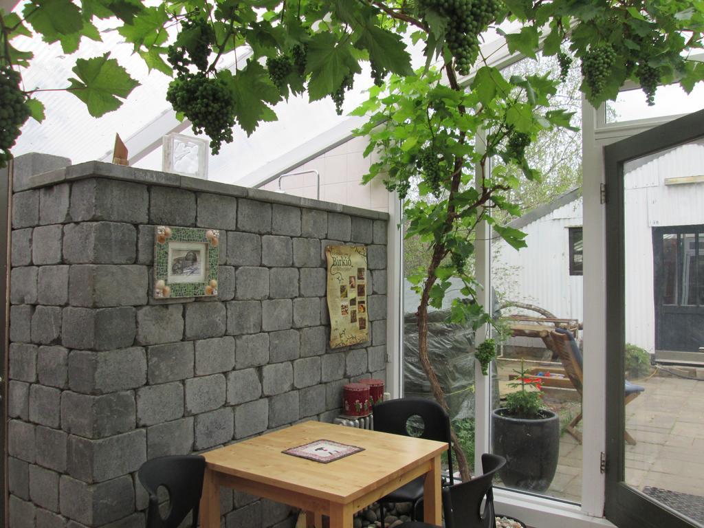 Arbakki Farmhouse Lodge ريكهولت المظهر الخارجي الصورة